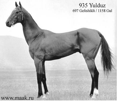 Yulduz, 1962