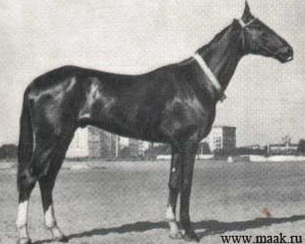 Kaplan 1957