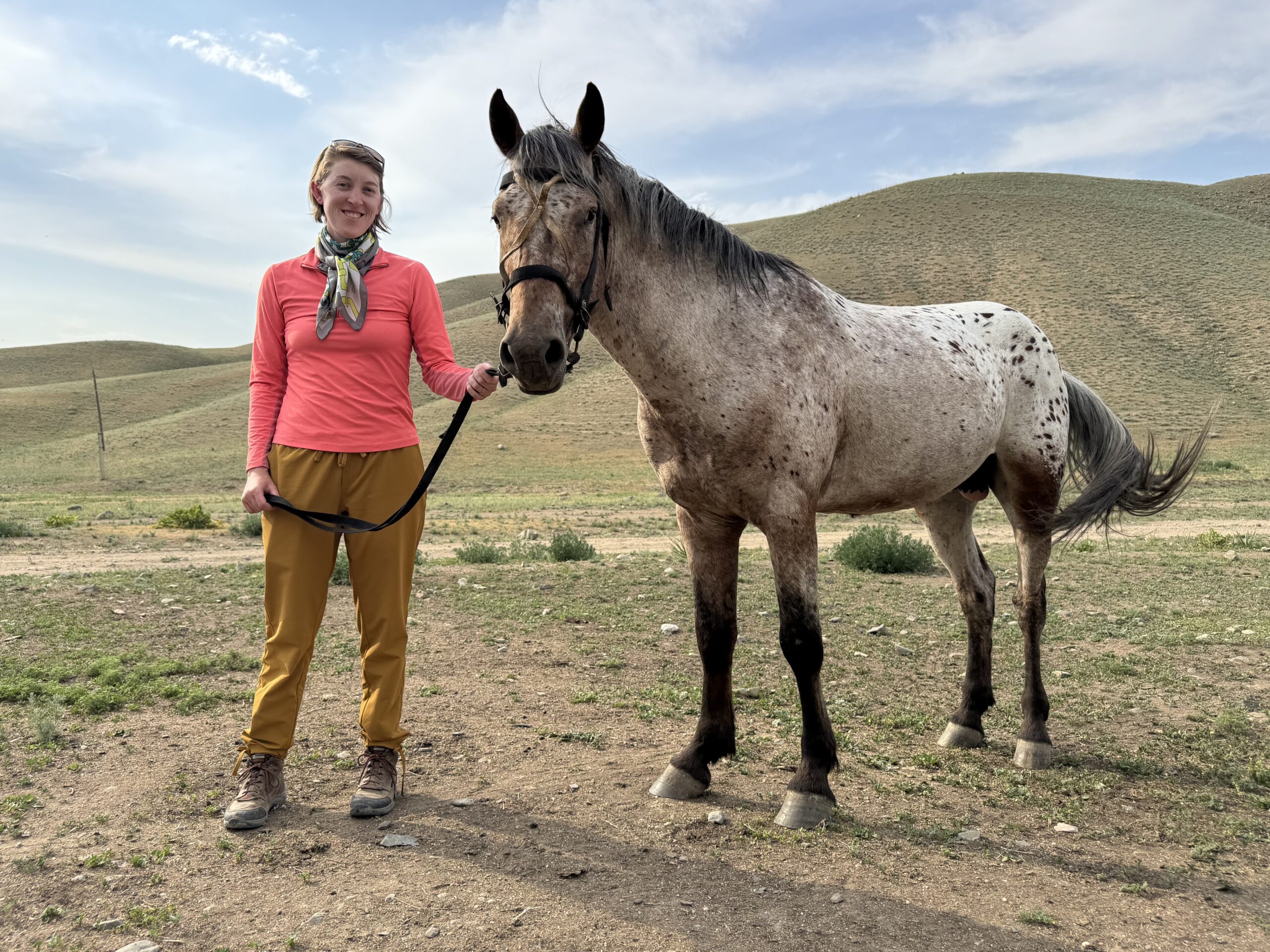 The Chaar Appaloosa