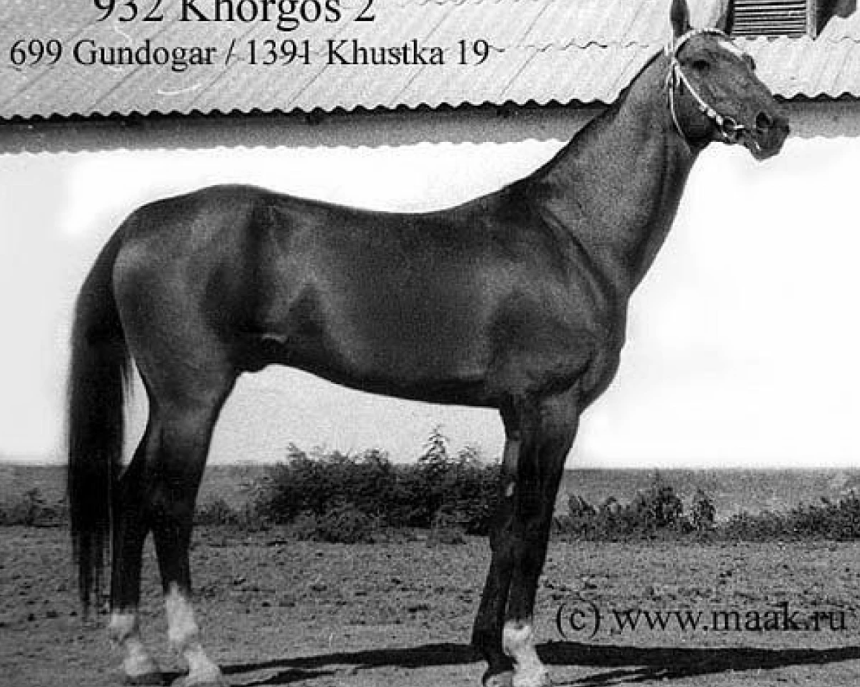 Khorgos 2