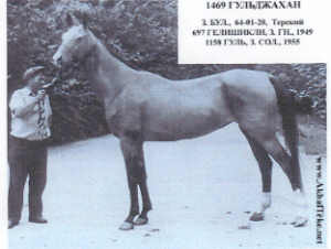 Guldakhan 1964