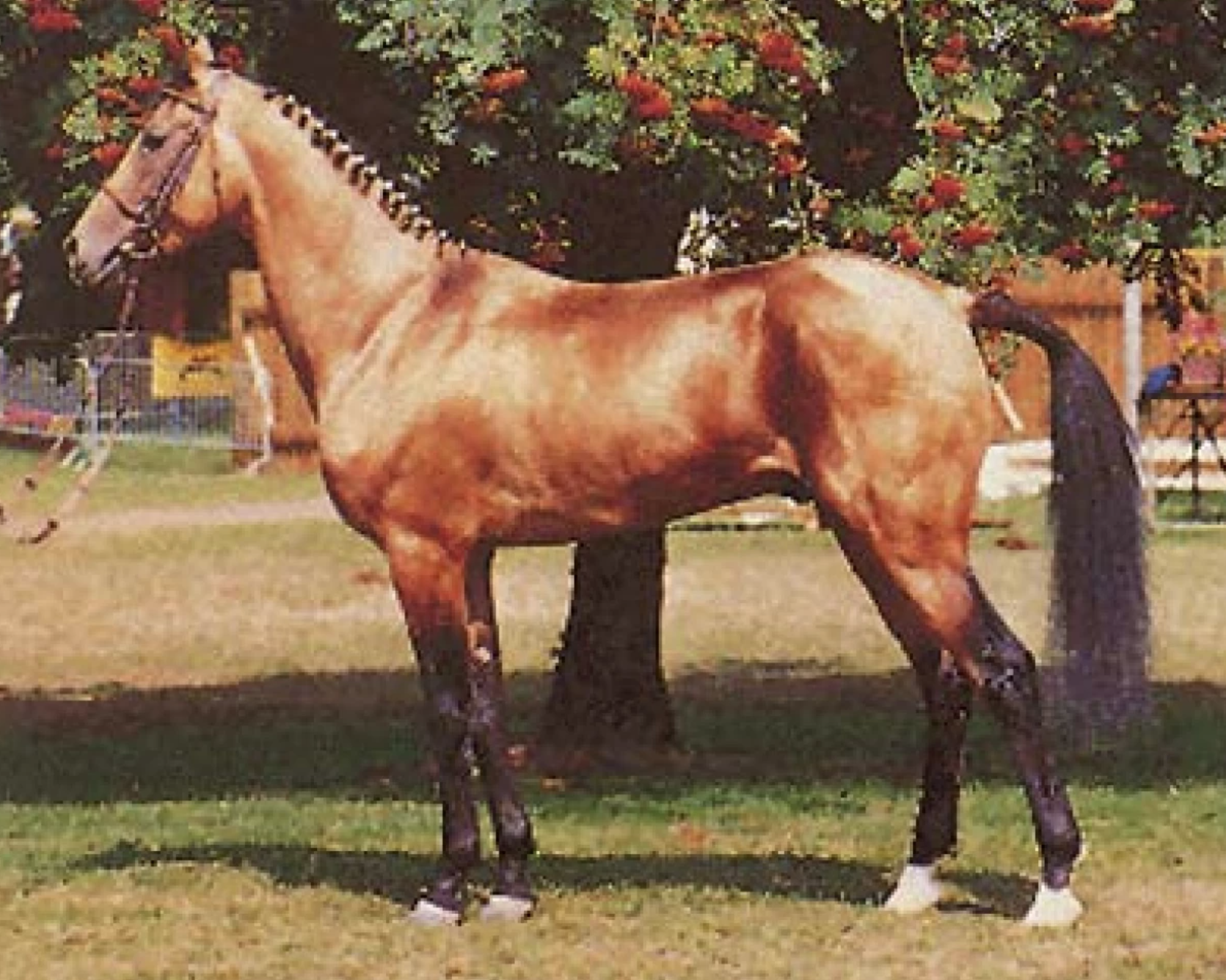 Melgun