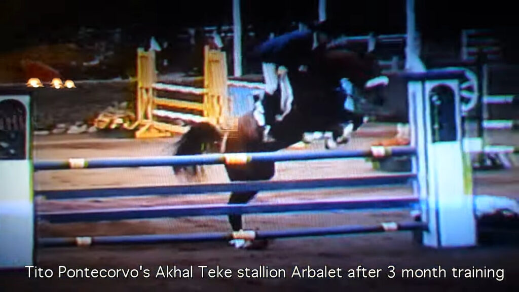 Archival Footage of Gudrat's Grandsire Arbalet at First Jumping Competition