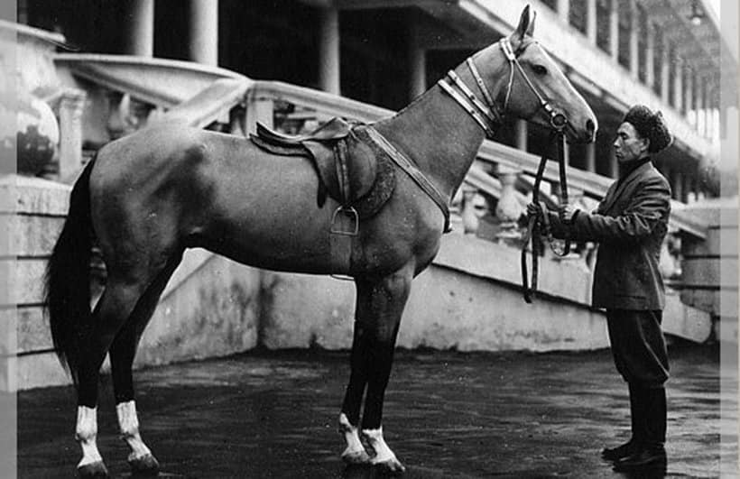 Melekush: The Royal Gift & First Recorded AT in England