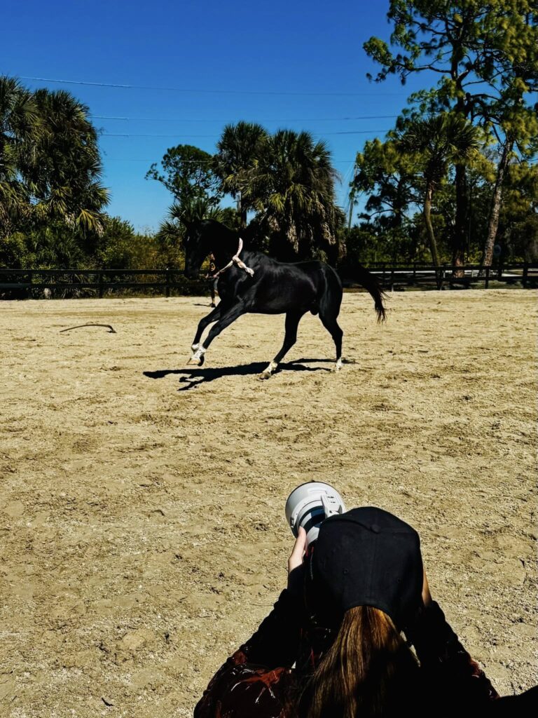 Horse Capital TV: Akhal-Teke Documentary