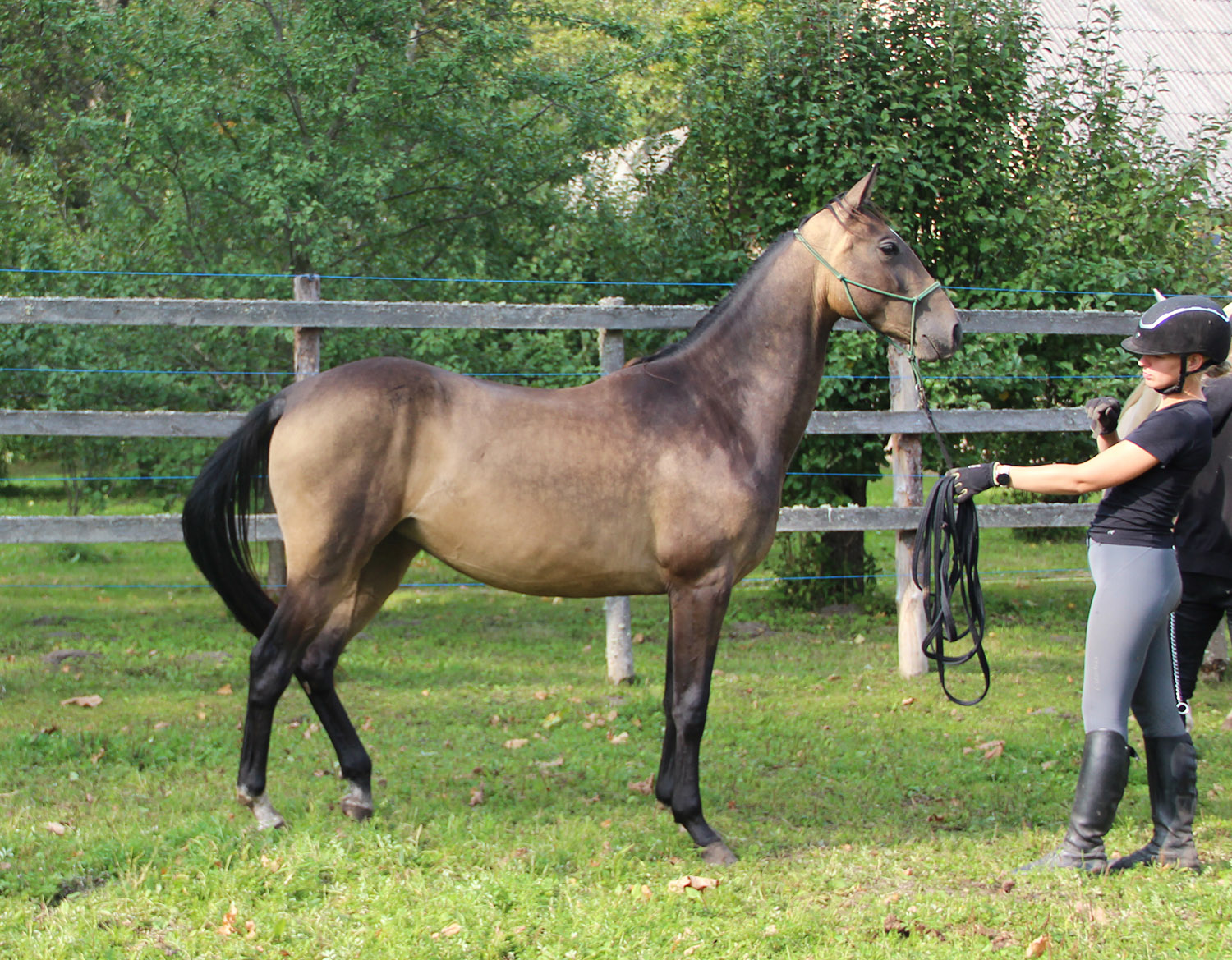 OGLANLY EST, Chirchiq A x Okgunly